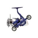 Daiwa 24 TDR Match & Feeder QD  