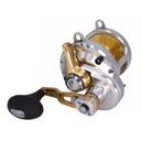  Shimano Talica 20II CAM 20II CAMX