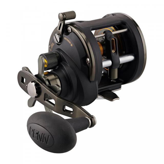 Penn Squall II Levelwind, 20 LW LC, right hand, Multi Fishing Reel, Star Drag, 1545927