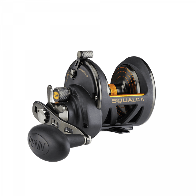 Penn Squall II Conventional, 25N, right hand, Multi Fishing Reel, Star Drag, 1522169